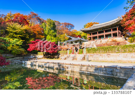 秋のソウル　昌徳宮　後苑（シークレット・ガーデン） 133788107