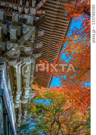 紅葉（高尾山薬王院） 133788380