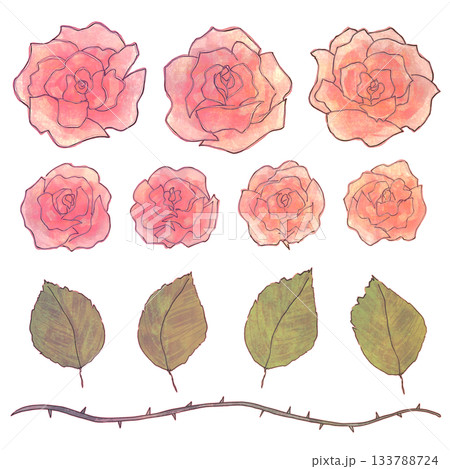 手書き風の薔薇イラストセット・赤ばらと葉っぱ 133788724