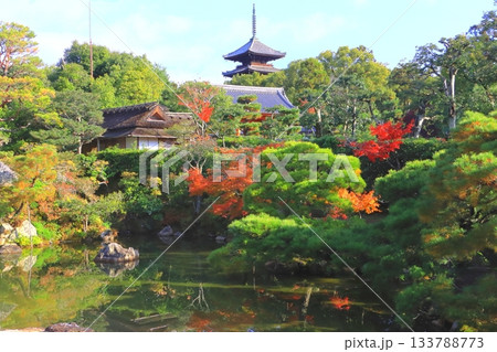 秋の仁和寺(庭園・五重塔・京都市) 秋の仁和寺(庭園・五重塔・京都市) 133788773