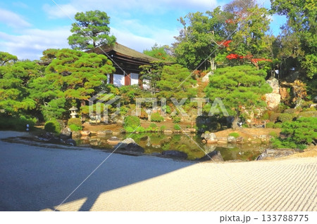 秋の仁和寺(庭園・京都市) 秋の仁和寺(庭園・京都市) 133788775