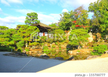 秋の仁和寺（庭園・京都市） 133788777