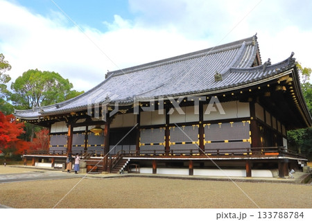 秋の仁和寺（金堂・京都市） 133788784