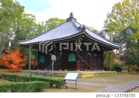 秋の仁和寺（経堂・京都市） 133788785