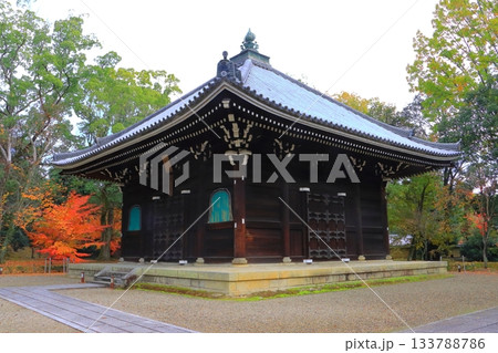 秋の仁和寺（経堂・京都市） 133788786
