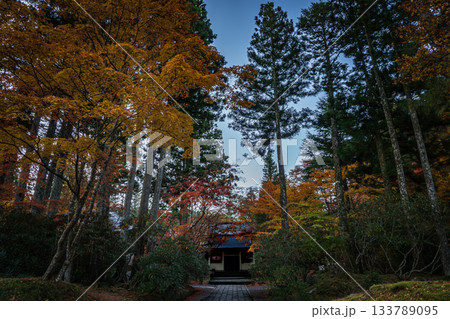紅葉に染まる高野山 2025　和歌山県 133789095