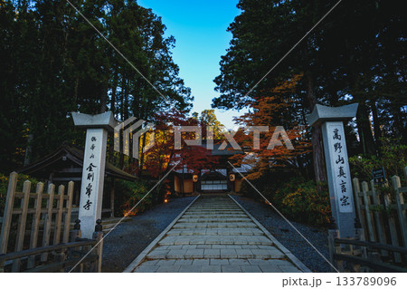 紅葉に染まる高野山 2025 和歌山県 紅葉に染まる高野山 2025 和歌山県 133789096