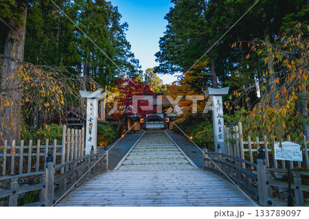 紅葉に染まる高野山 2025　和歌山県 133789097