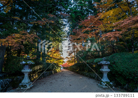 紅葉に染まる高野山 2025 和歌山県 紅葉に染まる高野山 2025 和歌山県 133789111