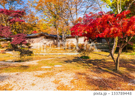 ソウル 紅葉の昌徳宮 後苑(シークレット・ガーデン) ソウル 紅葉の昌徳宮 後苑(シークレット・ガーデン) 133789448