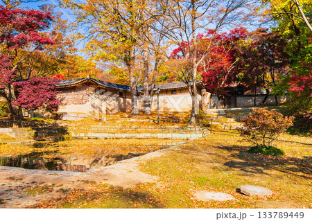 ソウル　紅葉の昌徳宮　後苑（シークレット・ガーデン） 133789449