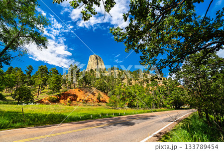 View of Devils Tower National Monument in Wyoming. Bright red earth and a pine forest are in the foreground, under a deep blue sky with clouds View of Devils Tower National Monument in Wyoming. Bright red earth and a pine forest are in the foreground, under a deep blue sky with clouds 133789454