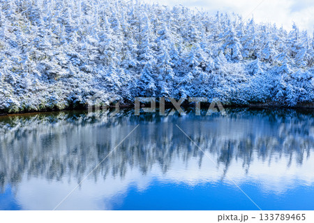 雪景色の秋の鏡沼 岩手県八幡平市 雪景色の秋の鏡沼 岩手県八幡平市 133789465