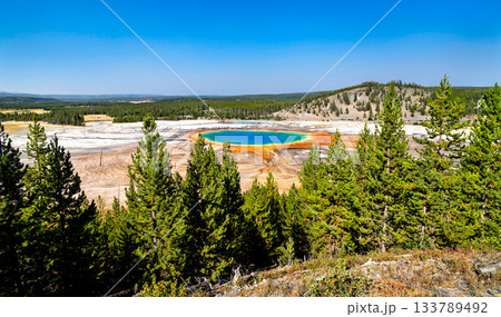 Grand Prismatic Spring displays rainbow colors from overlook in Yellowstone National Park Wyoming. Hot spring features blue center and orange microbial mats bordered by green pine forest 133789492