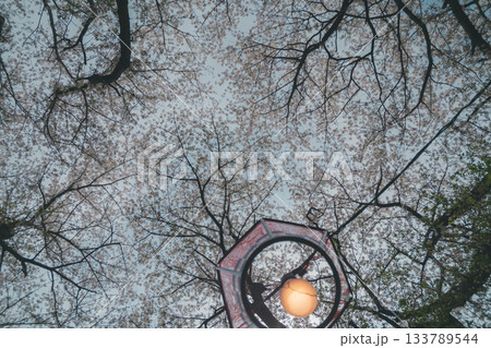 various various 133789544