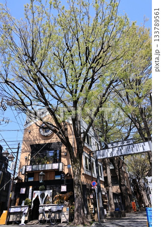 東京都豊島区雑司ヶ谷鬼子母神の風景 東京都豊島区雑司ヶ谷鬼子母神の風景 133789561