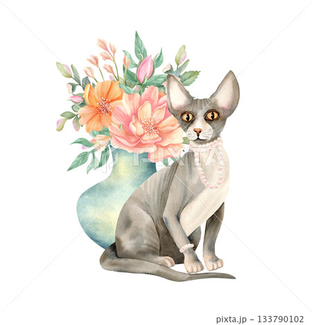 Sphynx cat and vase of flowers. Hairless kitty with pearl necklace, bracelet on paw and delicate peonies. Spring cute floral composition with pet. Luxurious animal. Watercolor isolated illustration Sphynx cat and vase of flowers. Hairless kitty with pearl necklace, bracelet on paw and delicate peonies. Spring cute floral composition with pet. Luxurious animal. Watercolor isolated illustration 133790102