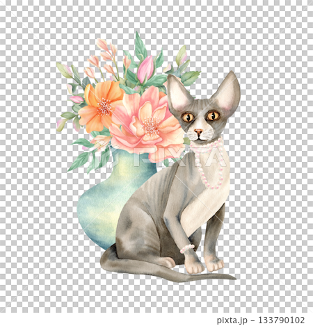 Sphynx cat and vase of flowers. Hairless kitty with pearl necklace, bracelet on paw and delicate peonies. Spring cute floral composition with pet. Luxurious animal. Watercolor isolated illustration Sphynx cat and vase of flowers. Hairless kitty with pearl necklace, bracelet on paw and delicate peonies. Spring cute floral composition with pet. Luxurious animal. Watercolor isolated illustration 133790102