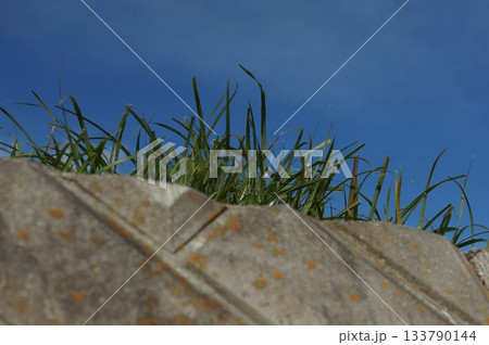 空と草とコンクリート 空と草とコンクリート 133790144