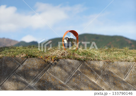 小さなカーブミラー 133790146