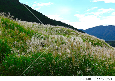 箱根 仙石原の景色 箱根 仙石原の景色 133790204