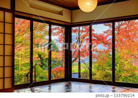 紅葉のピーク間近の文知摺観音(福島県福島市、11月上旬午後) 133790214