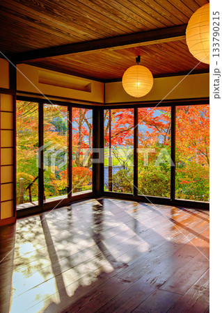 紅葉のピーク間近の文知摺観音(福島県福島市、11月上旬午後) 紅葉のピーク間近の文知摺観音(福島県福島市、11月上旬午後) 133790215
