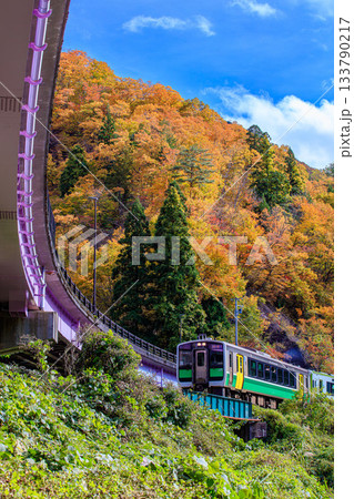 秋の只見線早戸駅を出発する列車(福島県三島町、11月上旬) 秋の只見線早戸駅を出発する列車(福島県三島町、11月上旬) 133790217