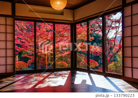 逆光に映える文知摺観音の真っ赤な紅葉(福島県福島市、11月中旬午後) 逆光に映える文知摺観音の真っ赤な紅葉(福島県福島市、11月中旬午後) 133790223