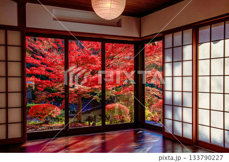 文知摺観音の真っ赤な紅葉(福島県福島市、11月中旬午後) 文知摺観音の真っ赤な紅葉(福島県福島市、11月中旬午後) 133790227