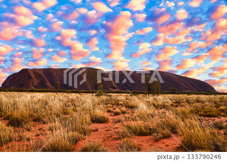 オーストラリア・世界遺産ウルルの絶景 133790246
