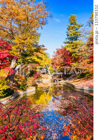 ソウル 秋の昌徳宮 後苑(シークレット・ガーデン) ソウル 秋の昌徳宮 後苑(シークレット・ガーデン) 133790332
