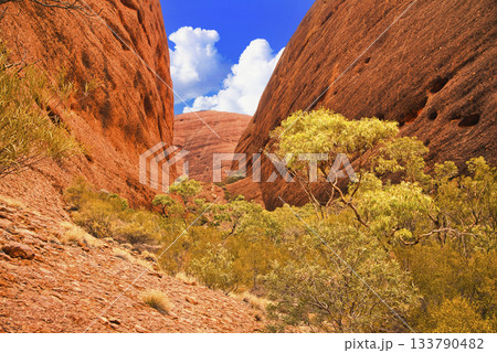 V字の谷間が壮大なマウントオルガ：風の谷の絶景 133790482