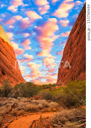 V字の谷間が壮大なマウントオルガ：風の谷の絶景 133790484