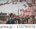 桜を撮影する男性 133790556