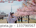 桜の咲く公園で写真を撮る男性 133790567