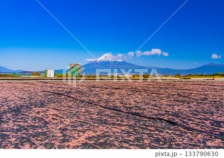 【静岡県】富士川河川敷の桜エビの天日干しと富士山 133790630