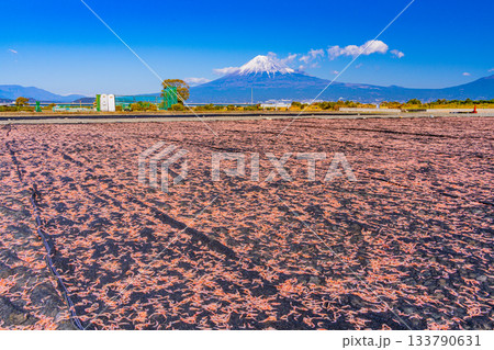 【静岡県】富士川河川敷の桜エビの天日干しと富士山 133790631