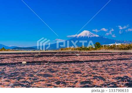 【静岡県】富士川河川敷の桜エビの天日干しと富士山 【静岡県】富士川河川敷の桜エビの天日干しと富士山 133790633