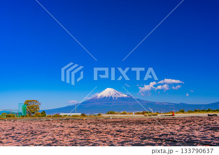 【静岡県】富士川河川敷の桜エビの天日干しと富士山 133790637