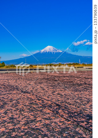 【静岡県】富士川河川敷の桜エビの天日干しと富士山 133790639