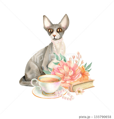 Sphynx cat with vintage book and delicate flowers, porcelain cup of tea, pearl necklace. Cozy spring home composition floral Sphinx kitty portrait with jewel. Watercolor isolated illustration, peony 133790658