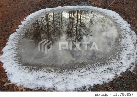 Clear reflection of coniferous pine trees in a snow-rimmed puddle. Detailed texture of water and ice 133790857