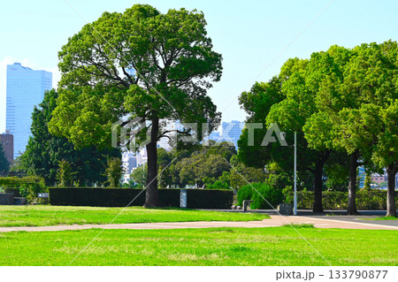 横浜 山下公園の景色 横浜 山下公園の景色 133790877