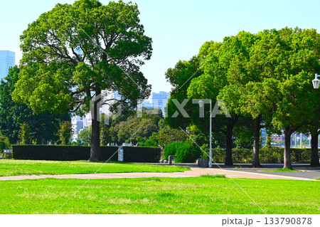横浜 山下公園の景色 横浜 山下公園の景色 133790878