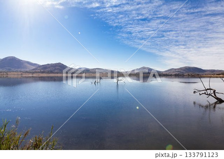 flat illustration is showing calm lake reflecting dead tree stumps, with reeds hills and lens flare flat illustration is showing calm lake reflecting dead tree stumps, with reeds hills and lens flare 133791123