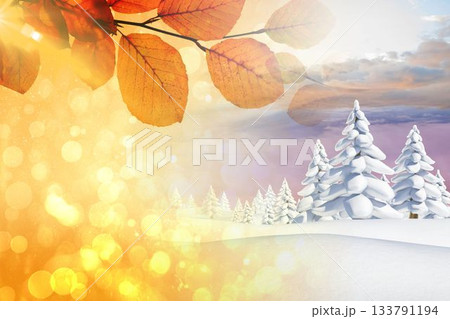 Autumn changing to winter Autumn changing to winter 133791194