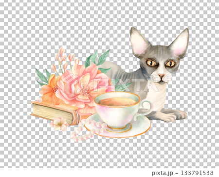 Sphynx cat sit with vintage book, delicate flowers, porcelain cup of tea, pearl jewelry. Cozy home composition, adorable floral kitty portrait with peony. Watercolor isolated spring illustration 133791538
