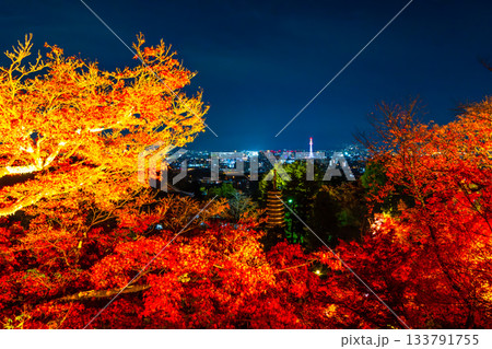清水寺の紅葉ライトアップと京都の街並 133791755
