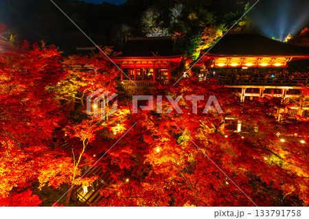 清水寺の紅葉ライトアップ 133791758